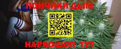твердый Заводоуковск