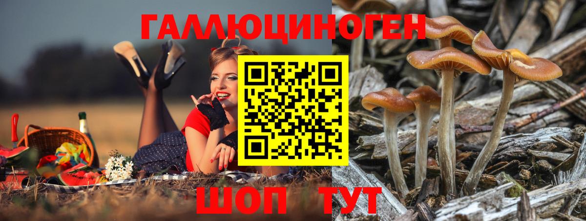 Галлюциногенные грибы мицелий  купить наркоту  Вход с VPN  Заводоуковск  Псилоцибиновые грибы MAGIC MUSHROOMS 
